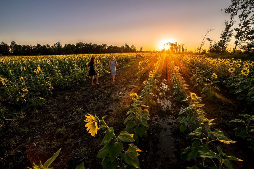 Marias Field of Hope in Avon