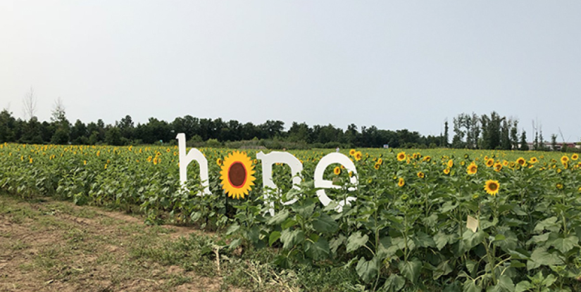 Marias Field of Hope