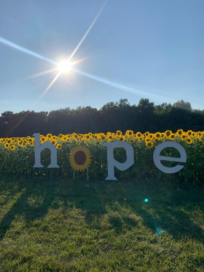 Prayers From Maria Sunflower Field Hope